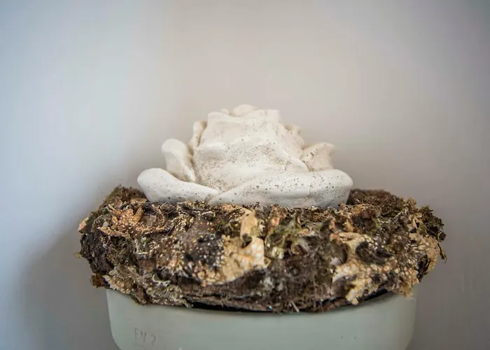 Lägenhet Bad Zandvoort